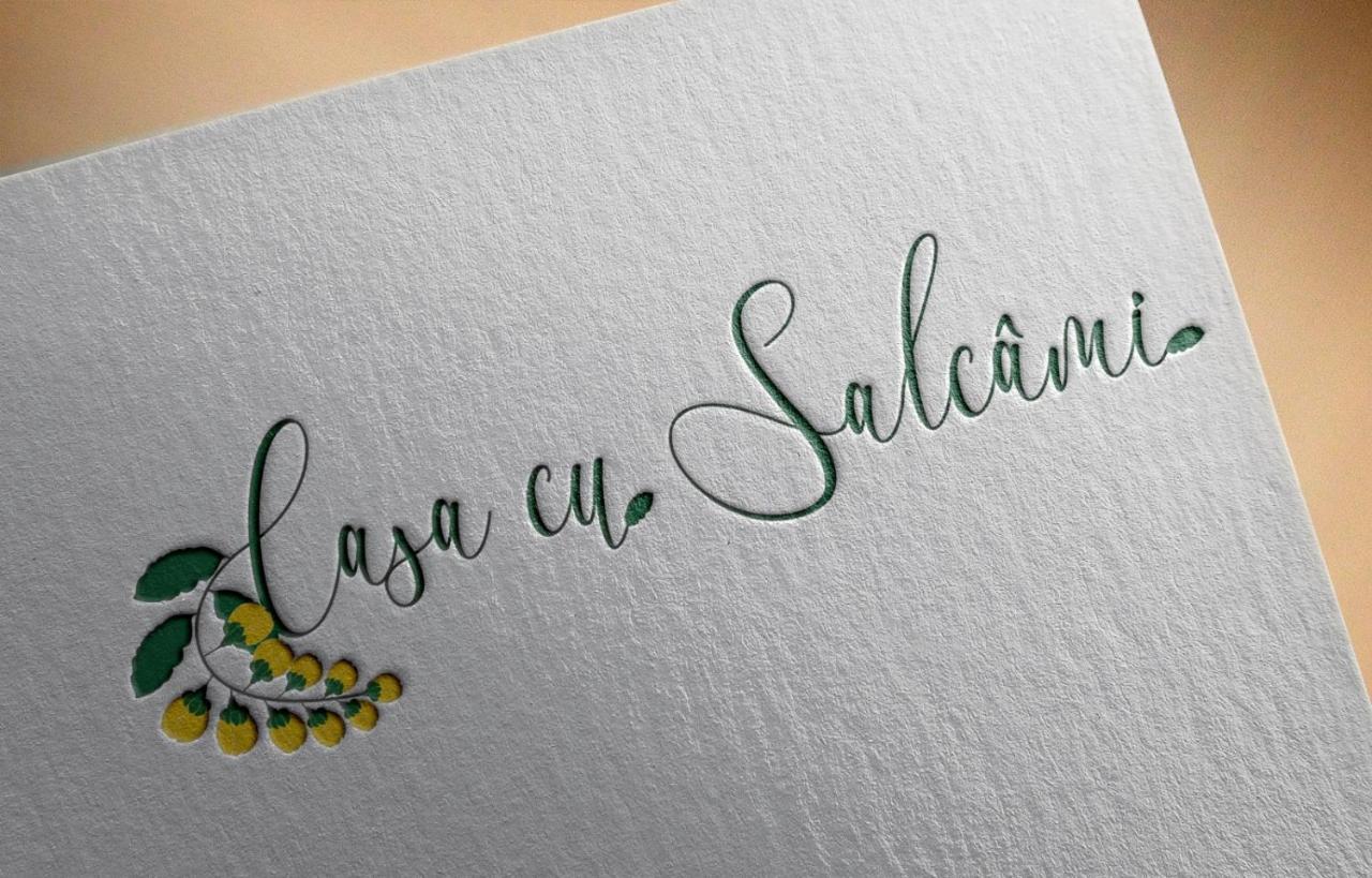 Casa Cu Salcami Villa Моечу де Жос Екстериор снимка
