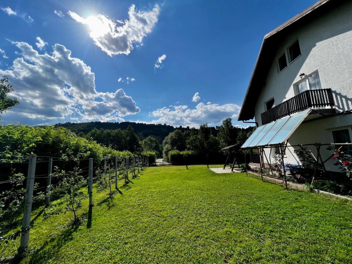 Casa Cu Salcami Villa Моечу де Жос Екстериор снимка