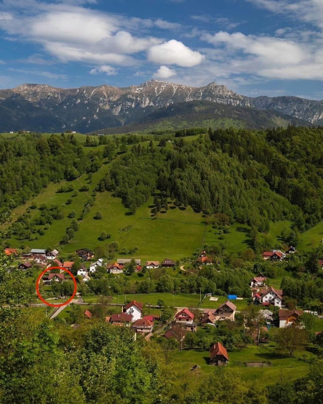 Casa Cu Salcami Villa Моечу де Жос Екстериор снимка